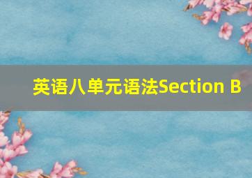 英语八单元语法Section B